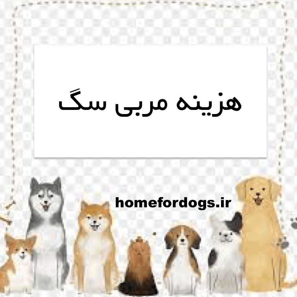 هزینه مربی سگ