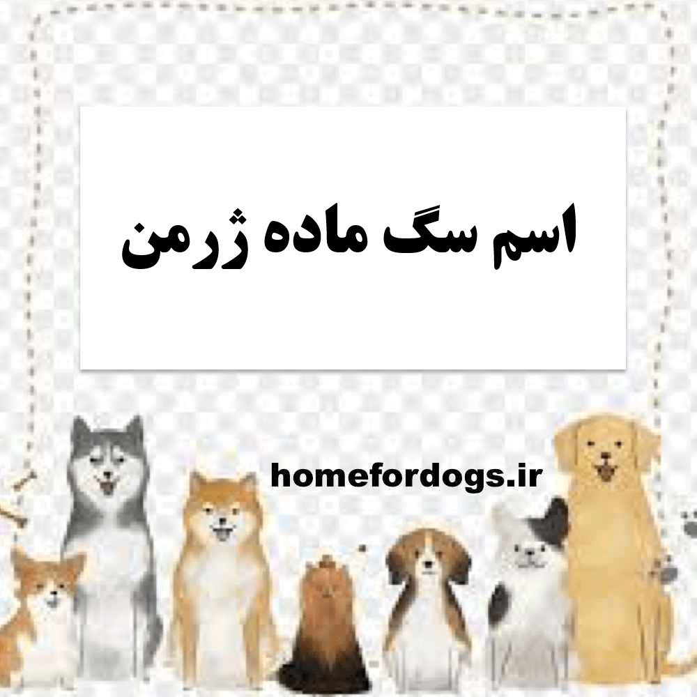 اسم سگ ماده ژرمن
