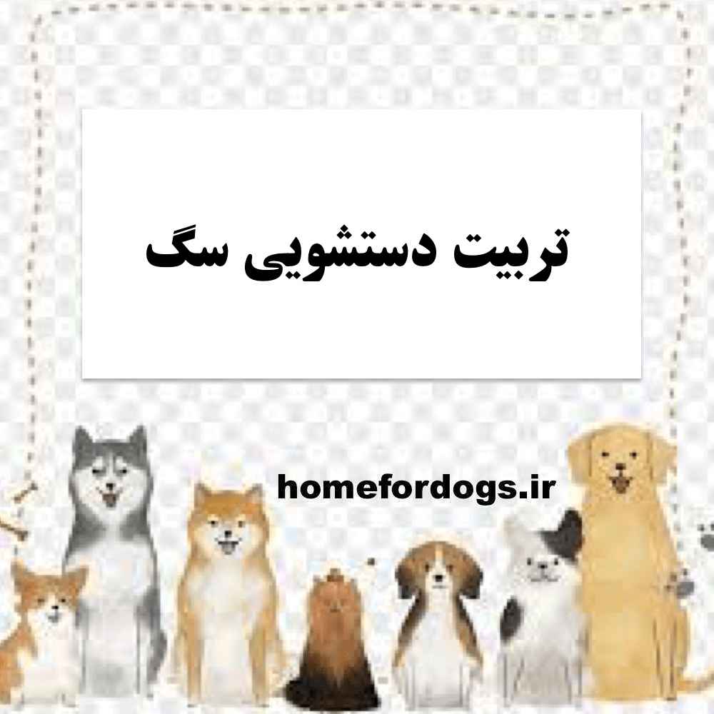 تربیت دستشویی سگ