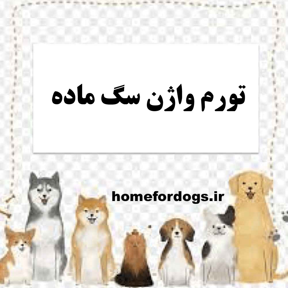 تورم واژن سگ ماده