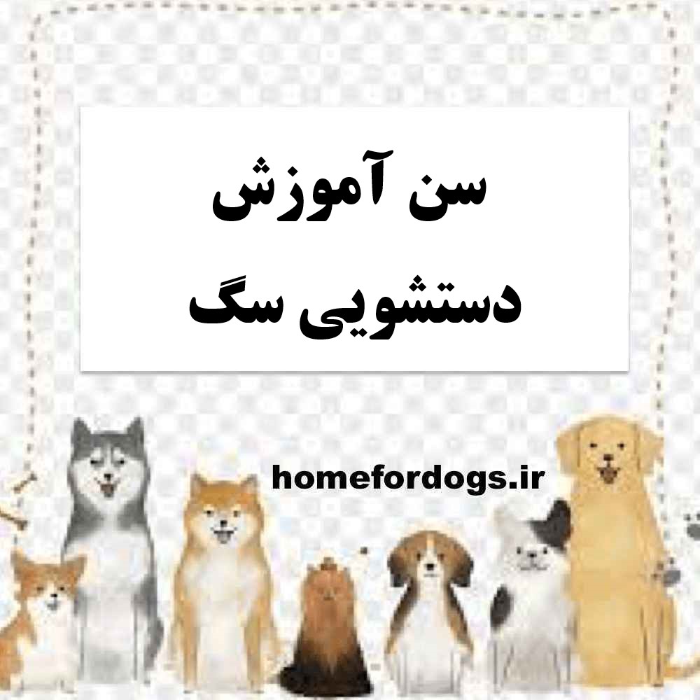 سن آموزش دستشویی سگ