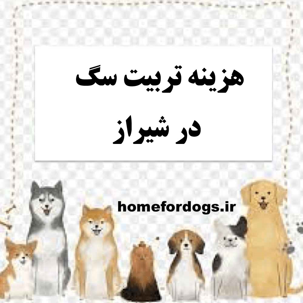 هزینه تربیت سگ در شیراز