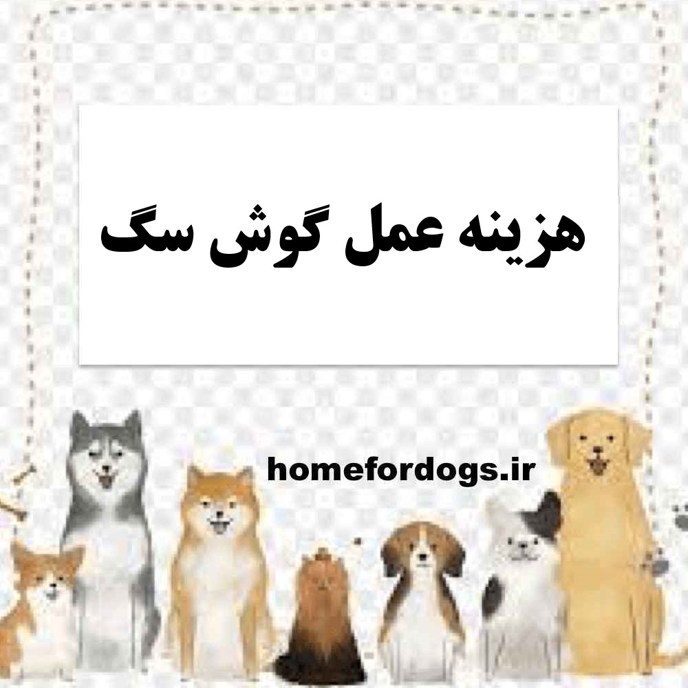 هزینه عمل گوش سگ
