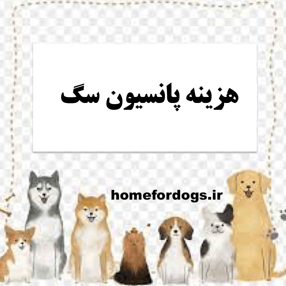 هزینه پانسیون سگ