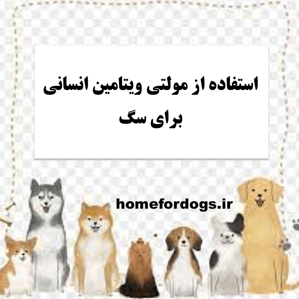 استفاده از مولتی ویتامین انسانی برای سگ