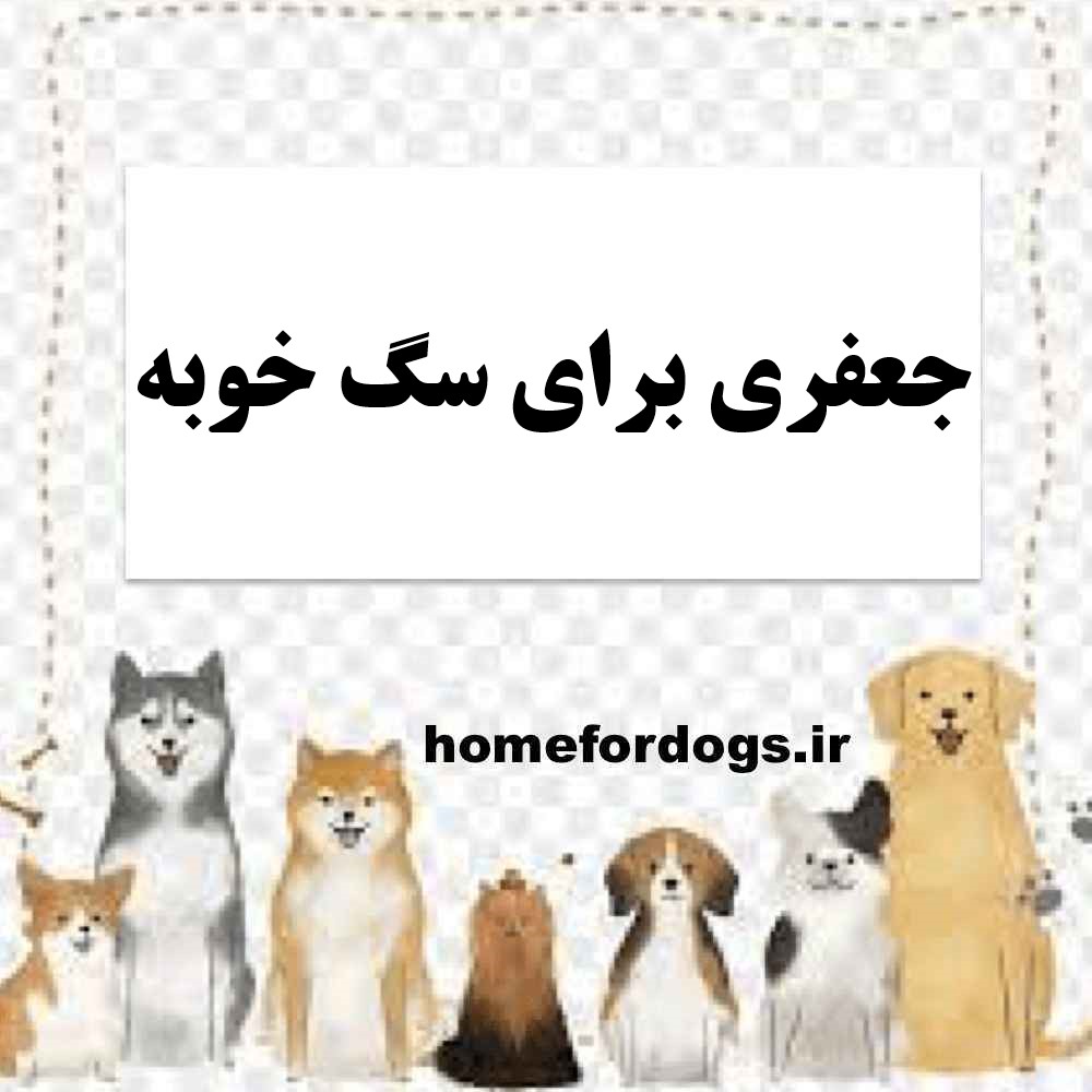 جعفری برای سگ خوبه