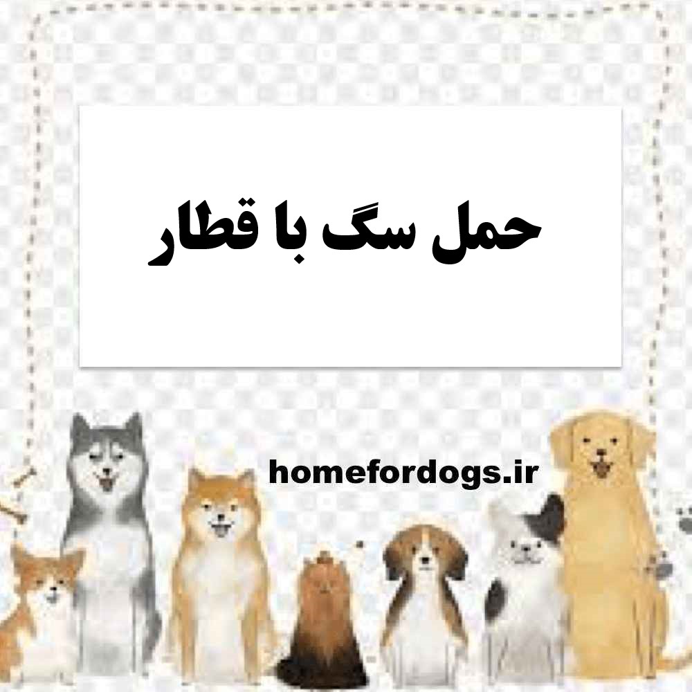 حمل سگ با قطار