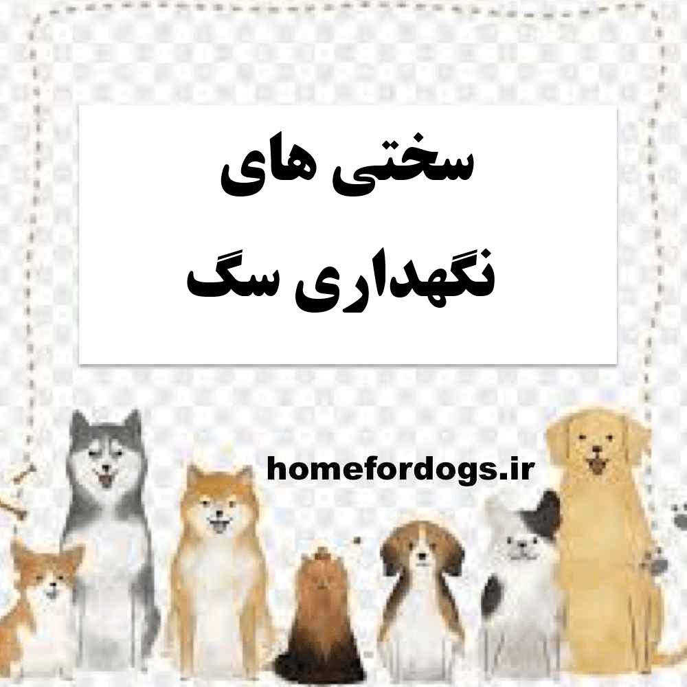 سختی های نگهداری سگ