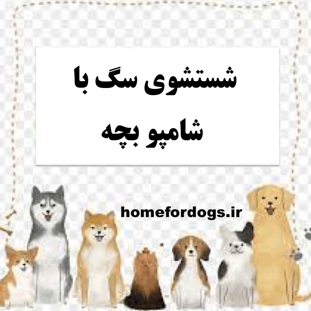 شستشوی سگ با شامپو بچه