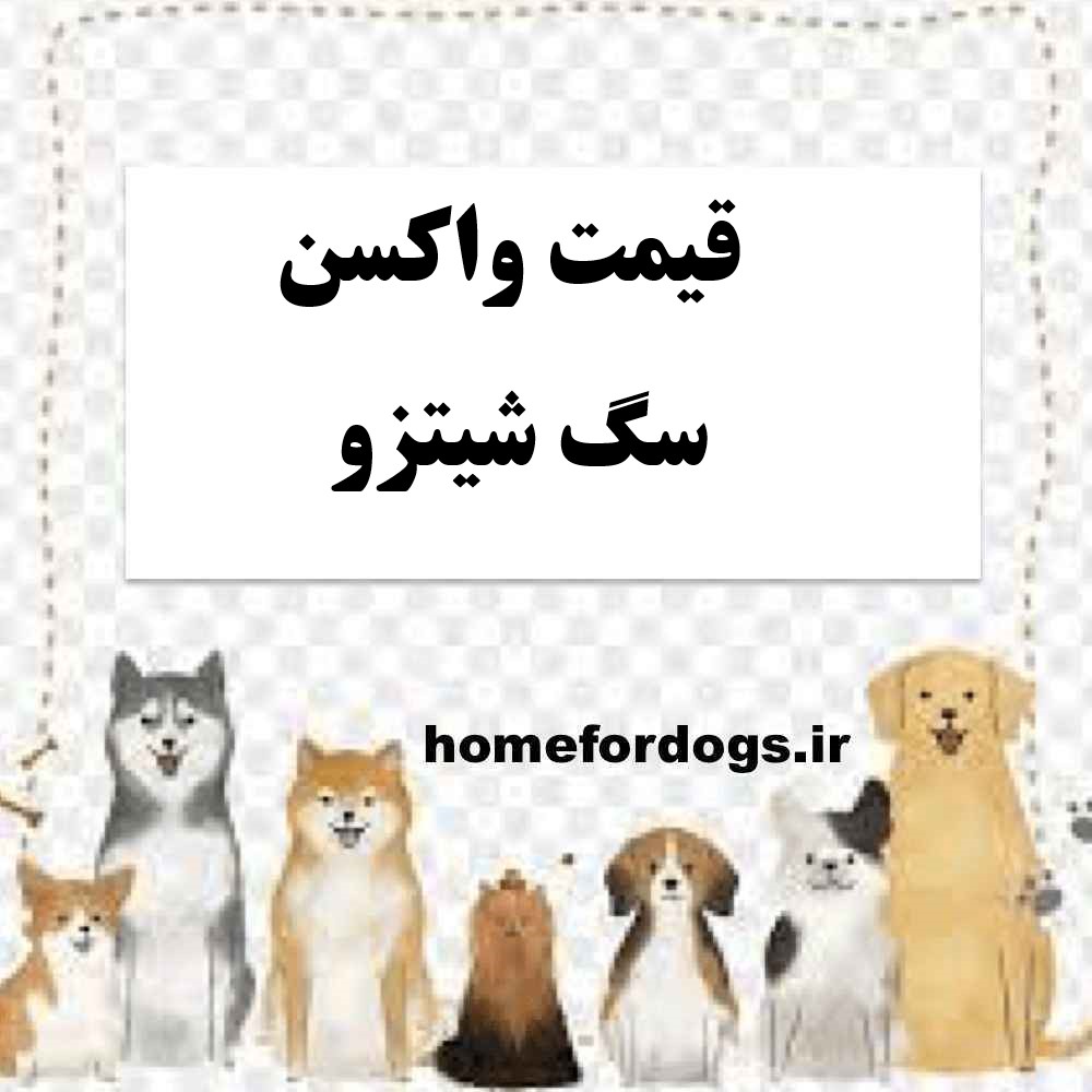 قیمت واکسن سگ شیتزو
