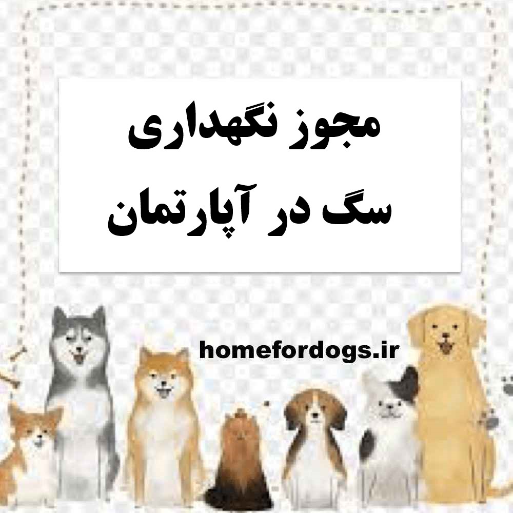 مجوز نگهداری سگ در آپارتمان