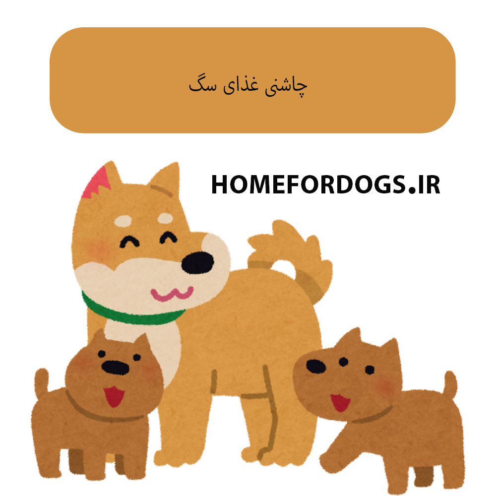 چاشنی غذای سگ