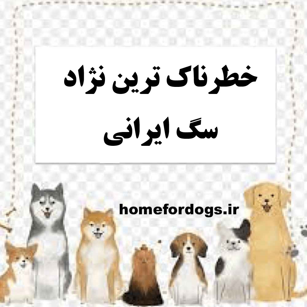 خطرناک ترین نژاد سگ ایرانی