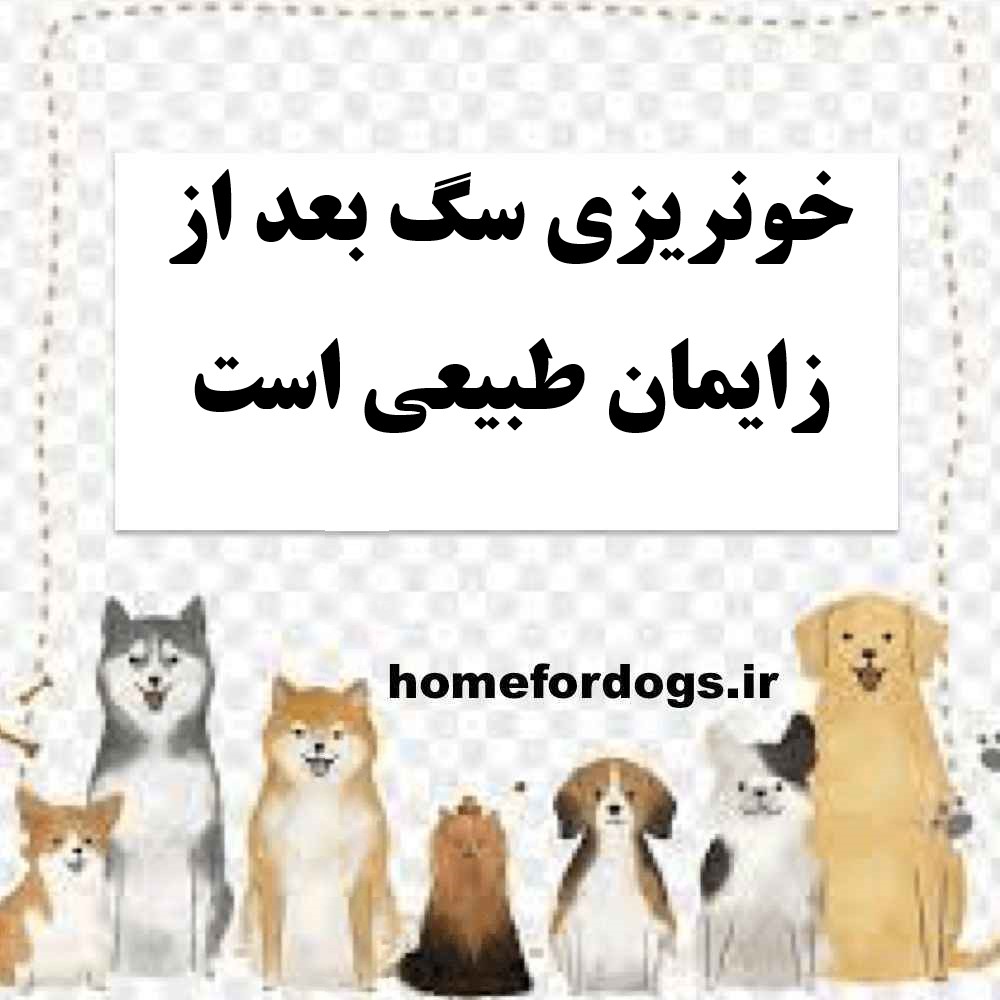 خونریزی سگ بعد از زایمان طبیعی است