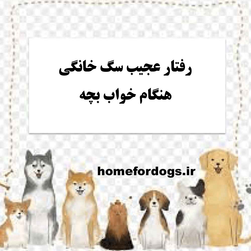 رفتار عجیب سگ خانگی هنگام خواب بچه