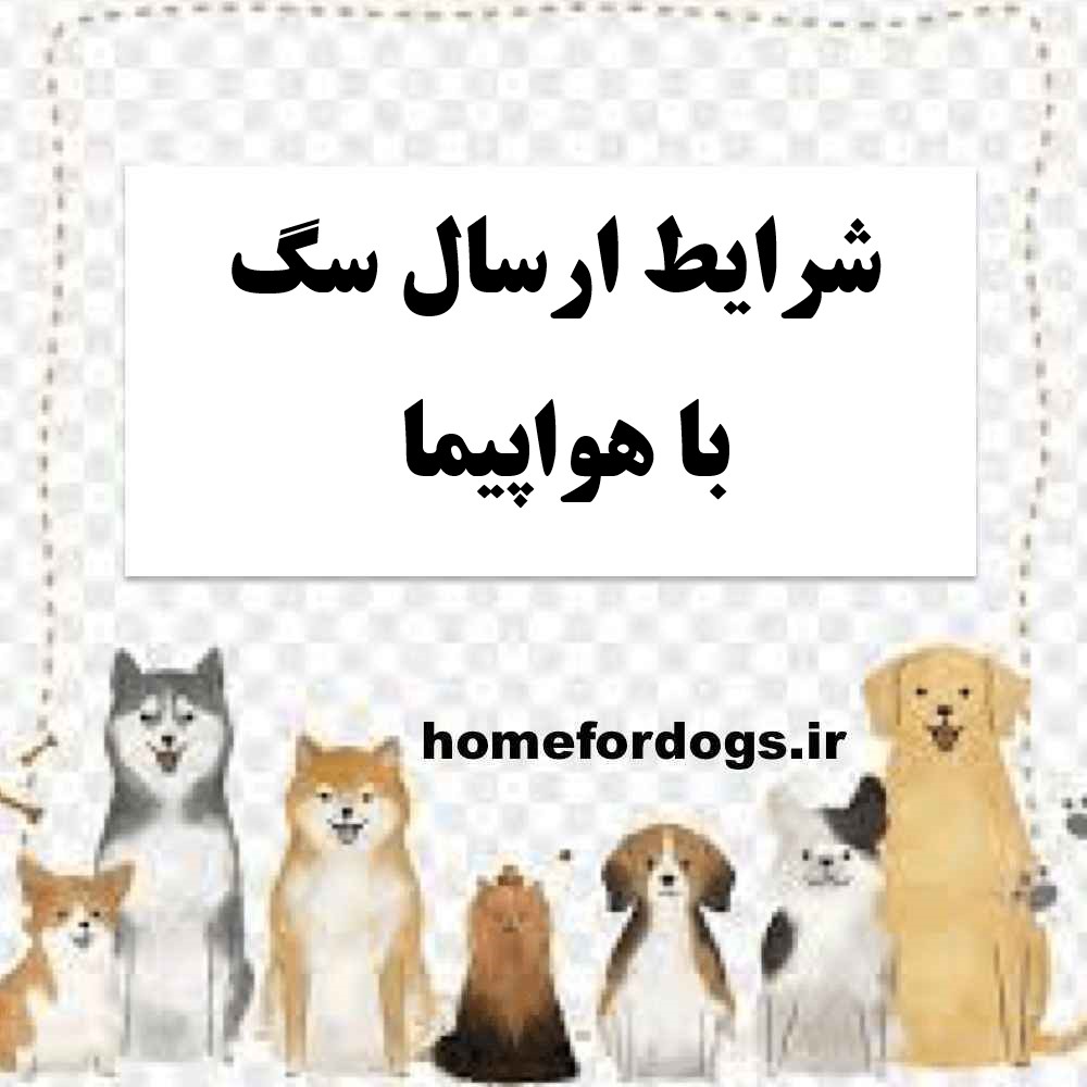 شرایط ارسال سگ با هواپیما