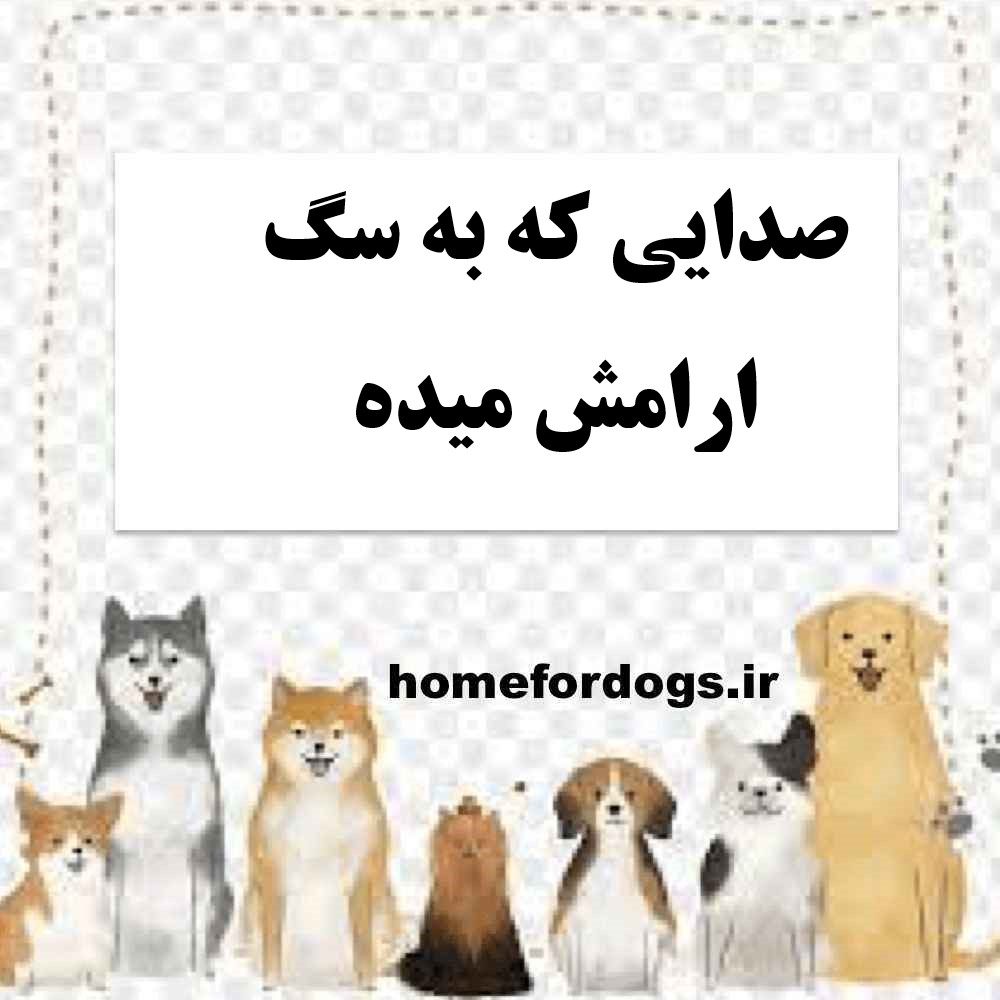 صدایی که به سگ ارامش میده