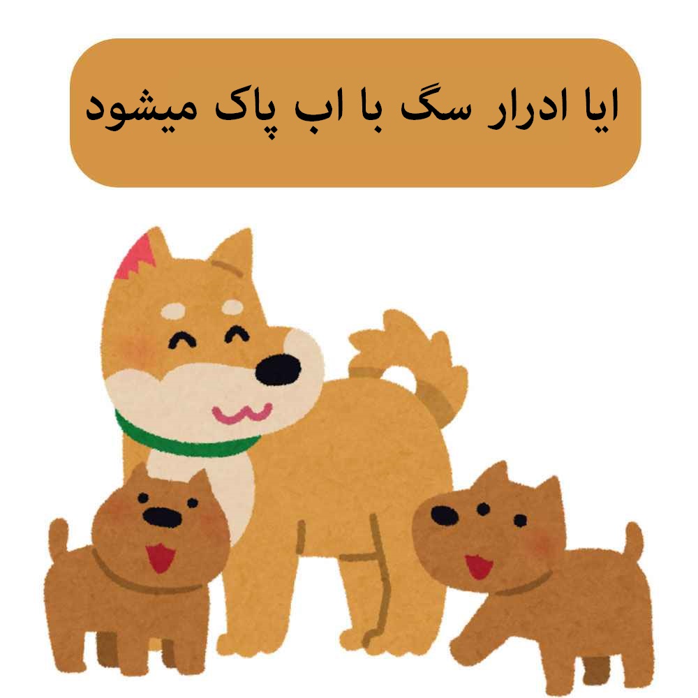 ایا ادرار سگ با اب پاک میشود