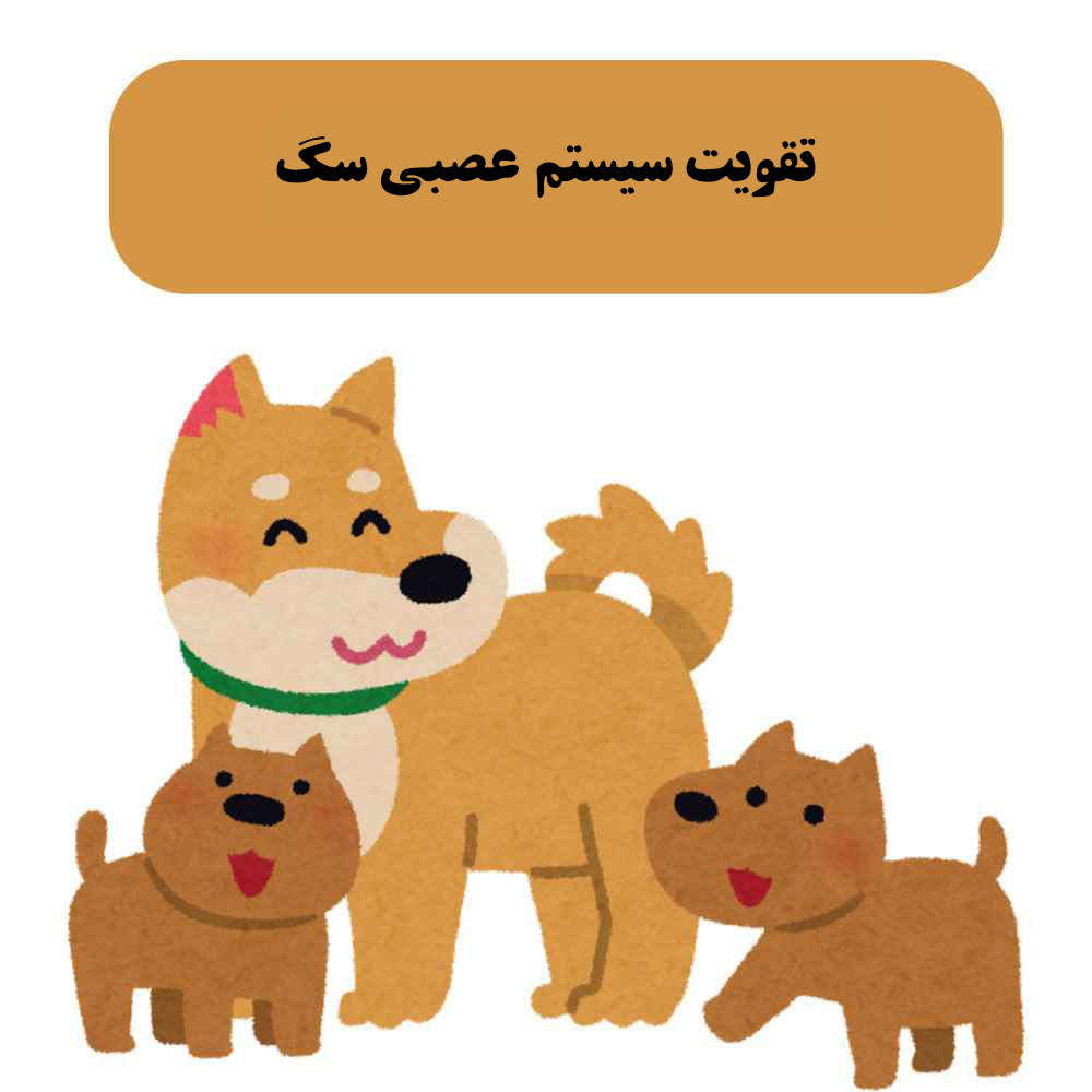 تقویت سیستم عصبی سگ