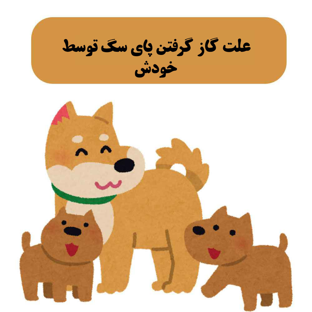 علت گاز گرفتن پای سگ توسط خودش