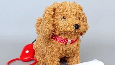 اسباب بازی سگ پاکوتاه