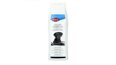 بهترین شامپو انسانی برای سگ