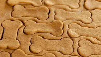 طرز تهیه بیسکویت برای سگ