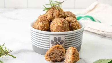 طرز تهیه نواله برای سگ