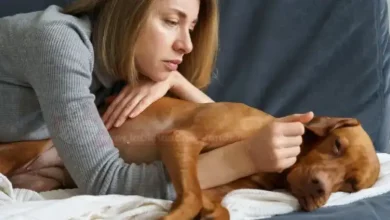 عوارض بعد از پاروا