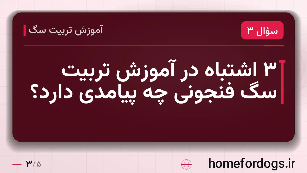 ۳ اشتباه در آموزش تربیت سگ فنجونی چه پیامدی دارد؟
