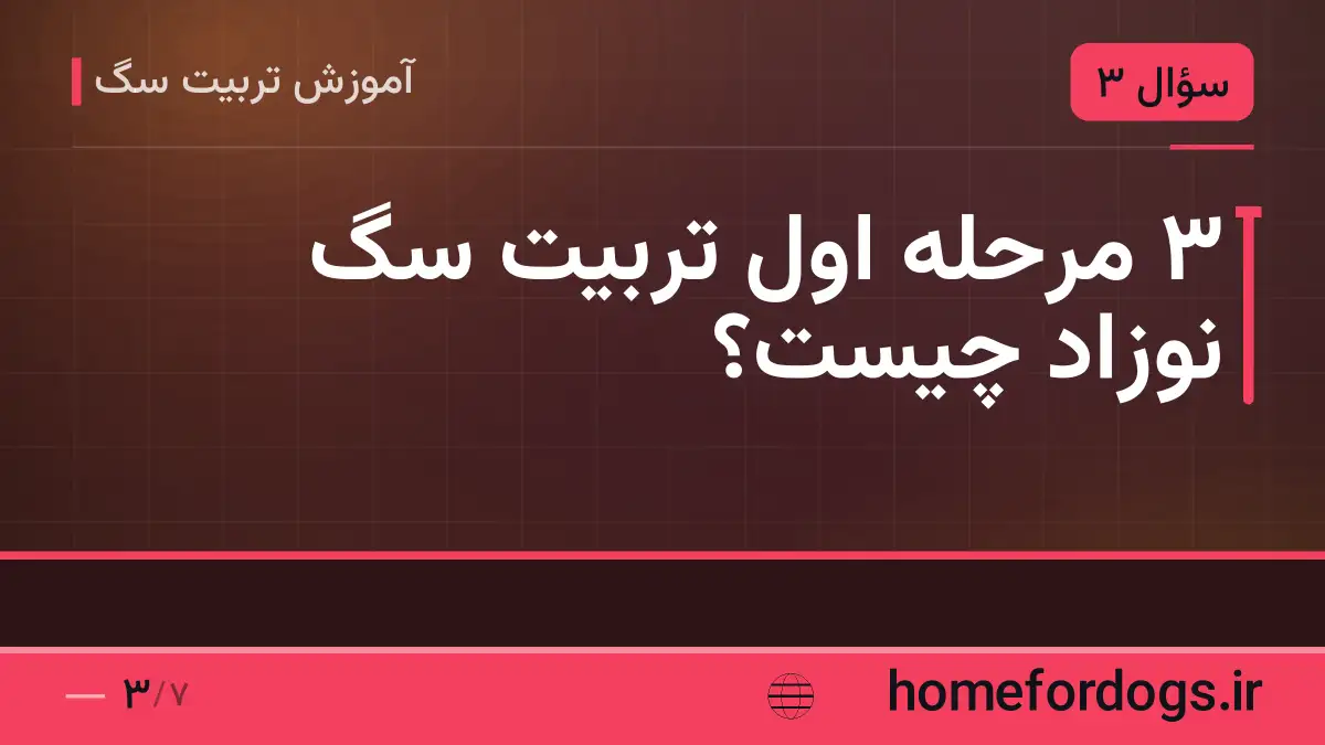 ۳ مرحله اول تربیت سگ نوزاد چیست؟
