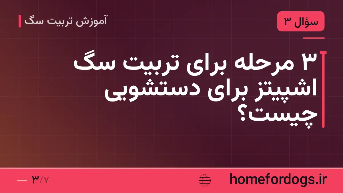 ۳ مرحله برای تربیت سگ اشپیتز برای دستشویی چیست؟