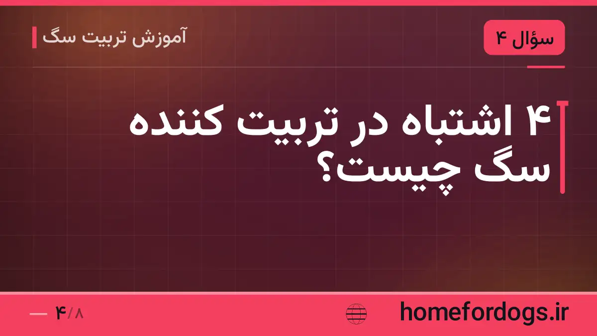 ۴ اشتباه در تربیت کننده سگ چیست؟