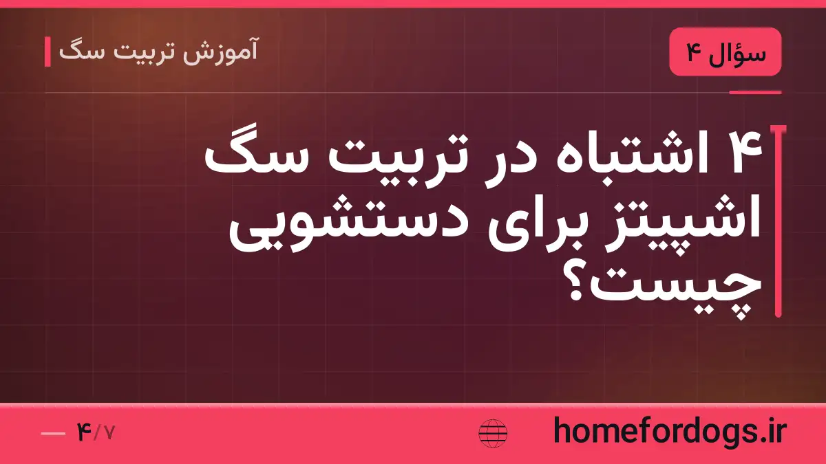 ۴ اشتباه در تربیت سگ اشپیتز برای دستشویی چیست؟