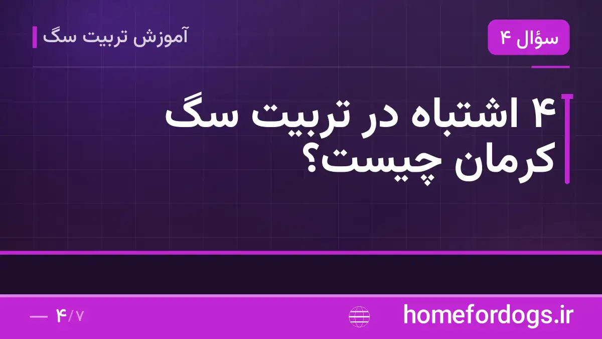 ۴ اشتباه در تربیت سگ کرمان چیست؟