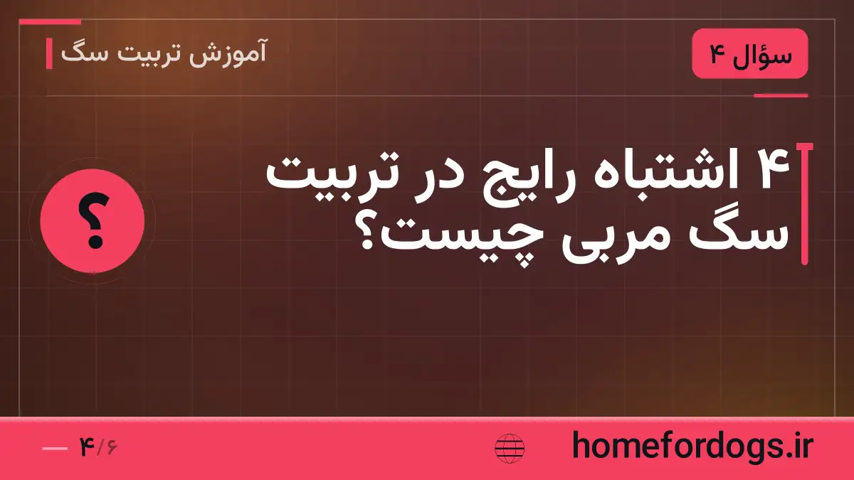 ۴ اشتباه رایج در تربیت سگ مربی چیست؟