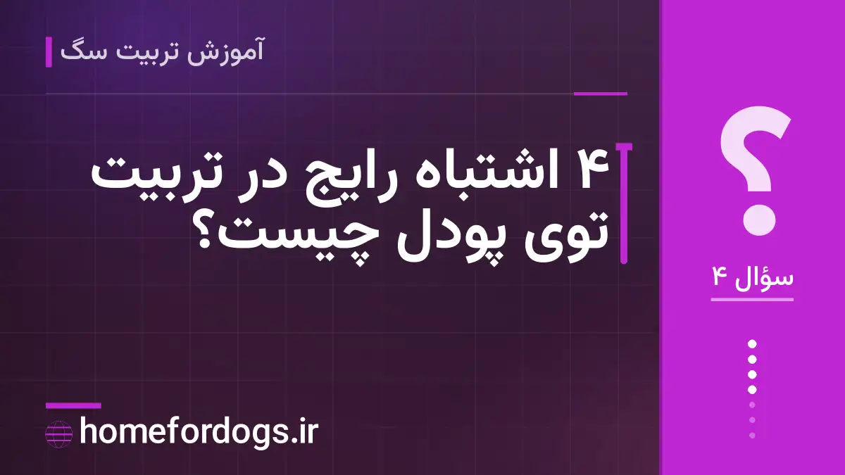 ۴ اشتباه رایج در تربیت توی پودل چیست؟