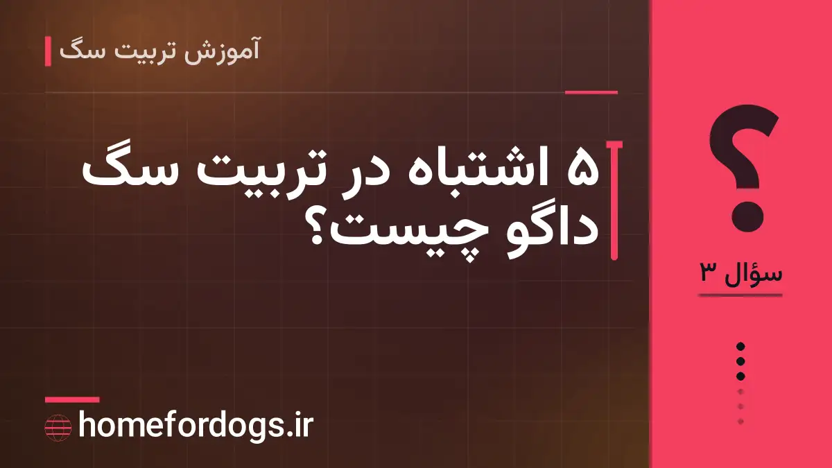 ۵ اشتباه در تربیت سگ داگو چیست؟