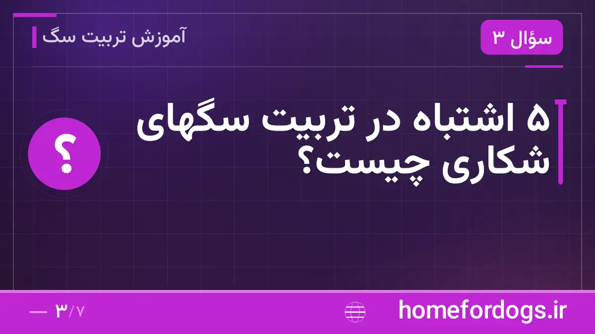 ۵ اشتباه در تربیت سگهای شکاری چیست؟