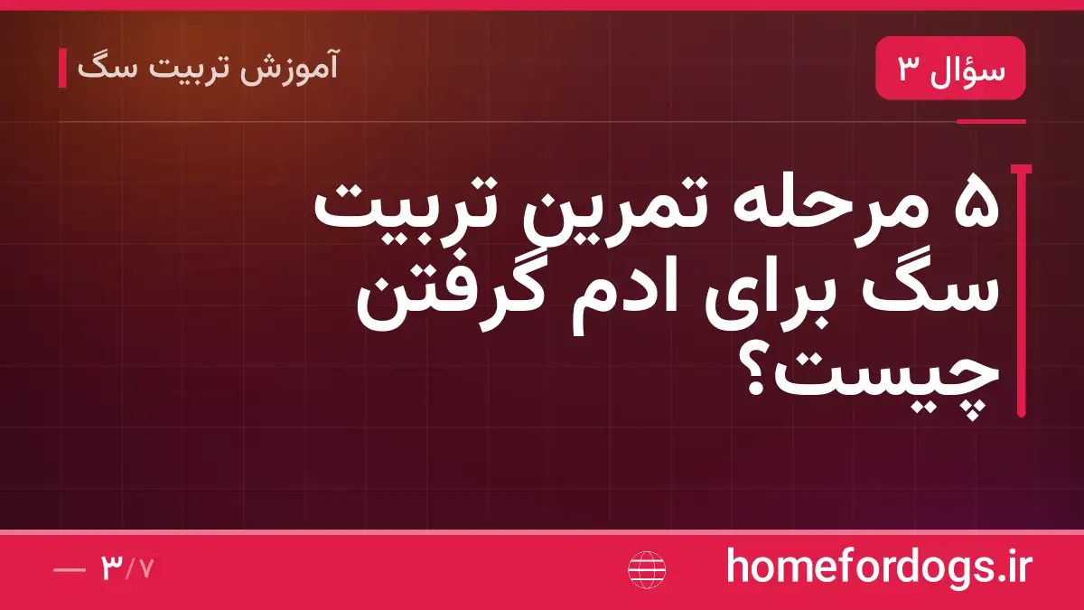 ۵ مرحله تمرین تربیت سگ برای ادم گرفتن چیست؟