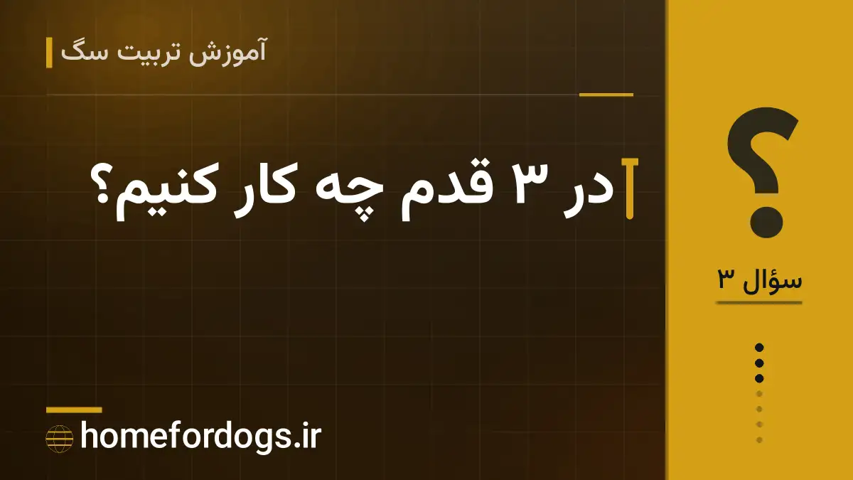 در ۳ قدم چه کار کنیم؟
