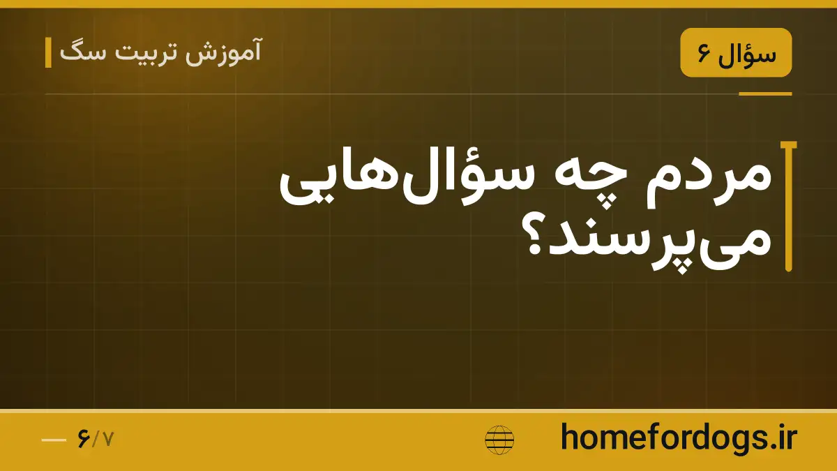 مردم چه سؤال‌هایی می‌پرسند؟