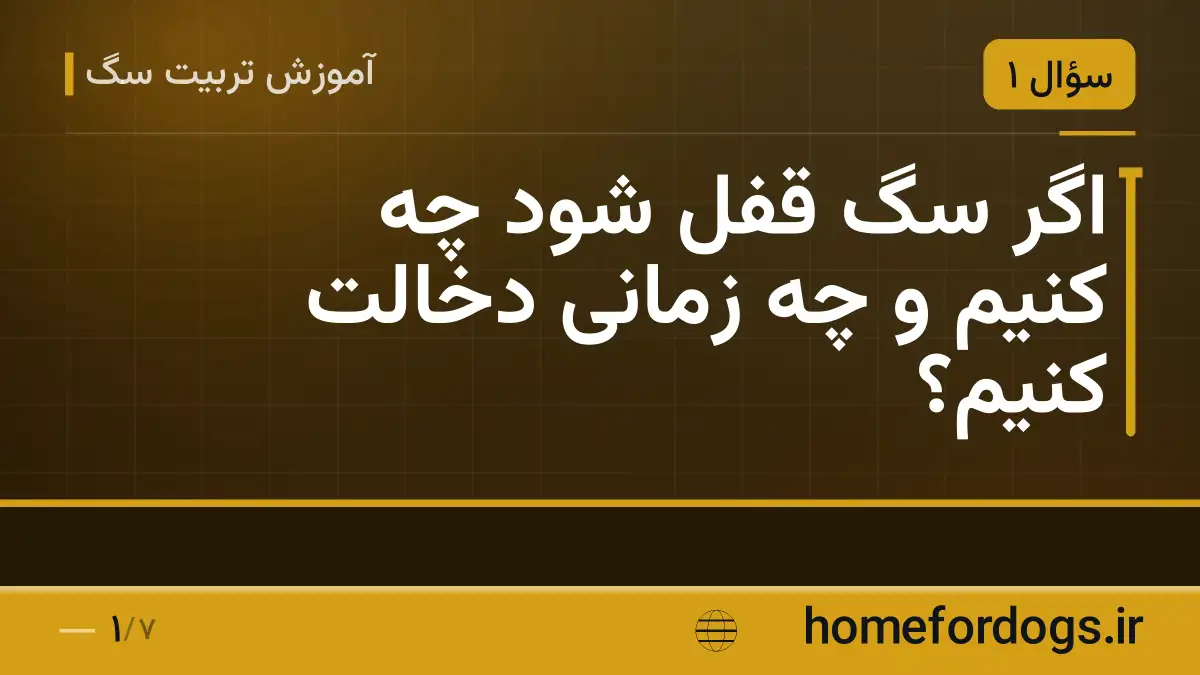 اگر سگ قفل شود چه کنیم و چه زمانی دخالت کنیم؟