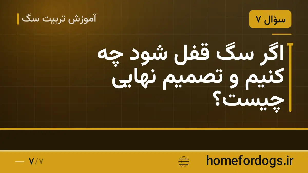 اگر سگ قفل شود چه کنیم و تصمیم نهایی چیست؟