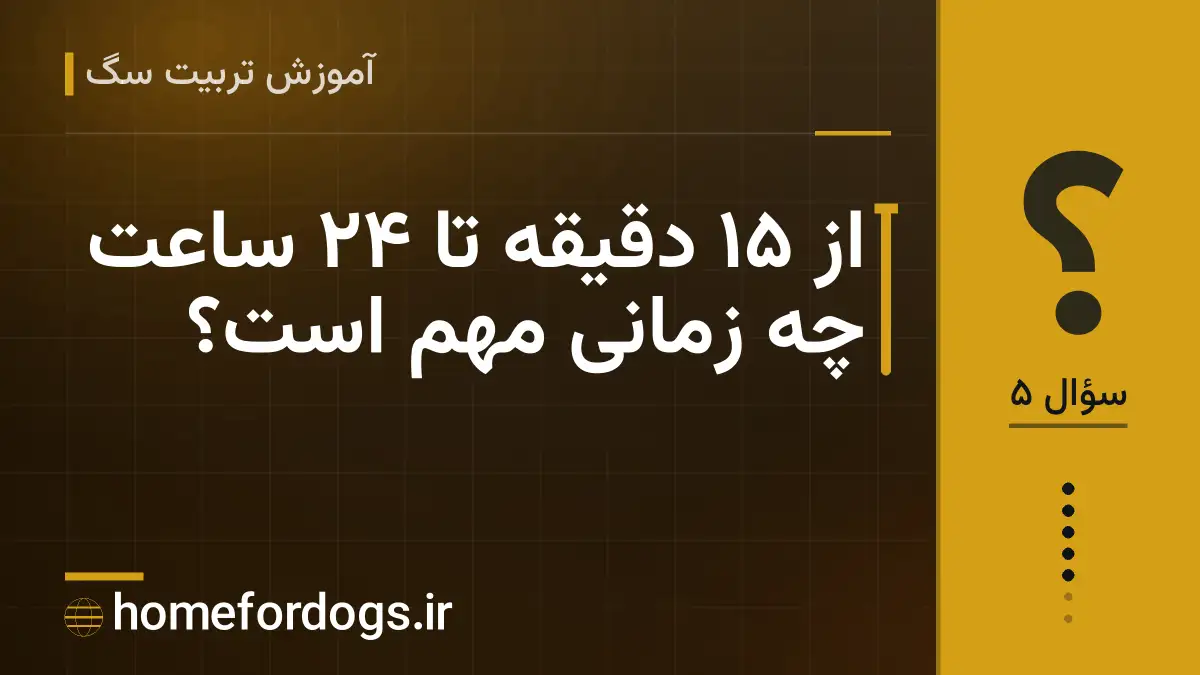 از ۱۵ دقیقه تا ۲۴ ساعت چه زمانی مهم است؟