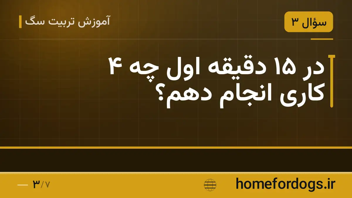 در ۱۵ دقیقه اول چه ۴ کاری انجام دهم؟