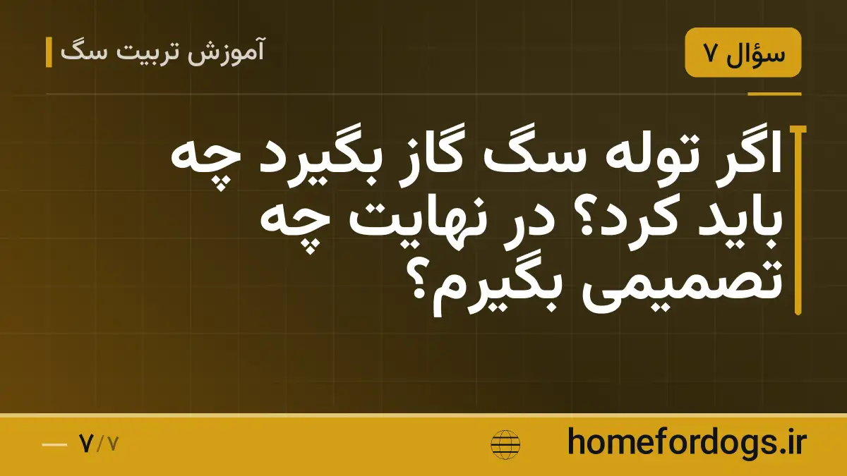 اگر توله سگ گاز بگیرد چه باید کرد؟ در نهایت چه تصمیمی بگیرم؟