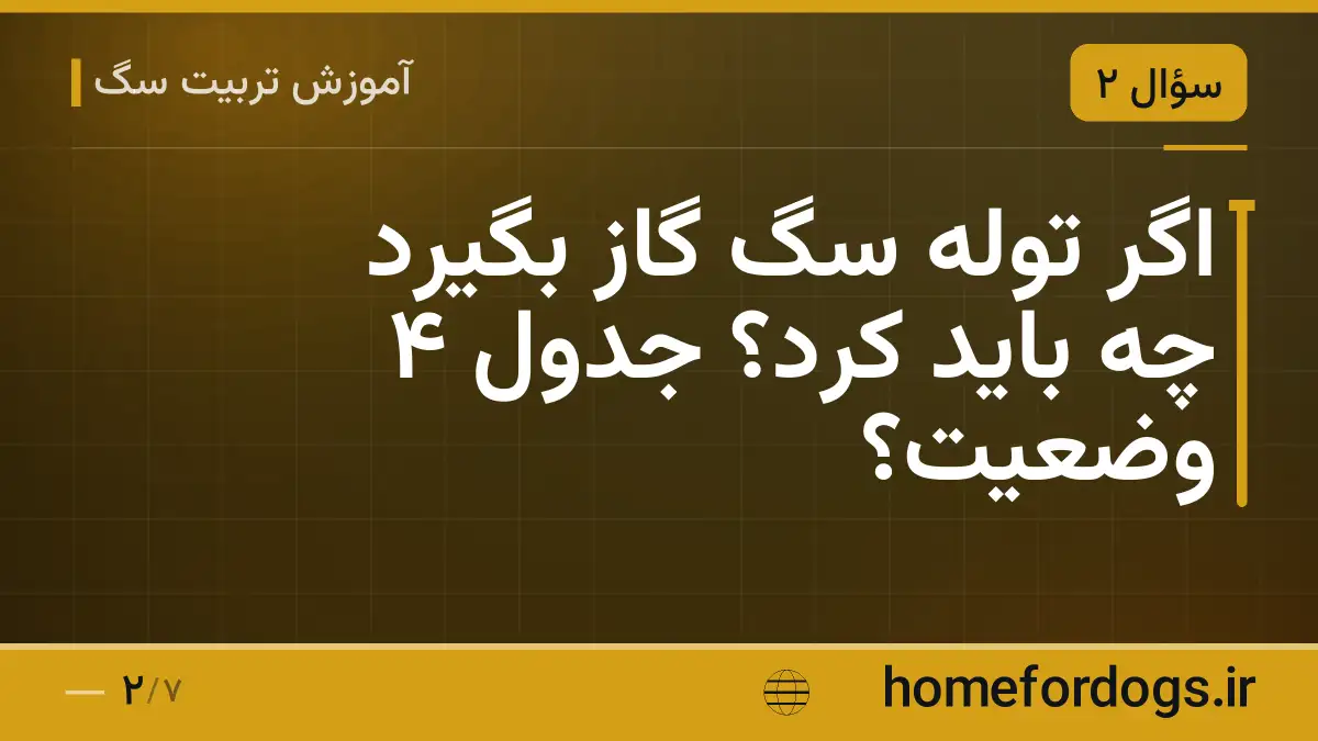 اگر توله سگ گاز بگیرد چه باید کرد؟ جدول ۴ وضعیت؟