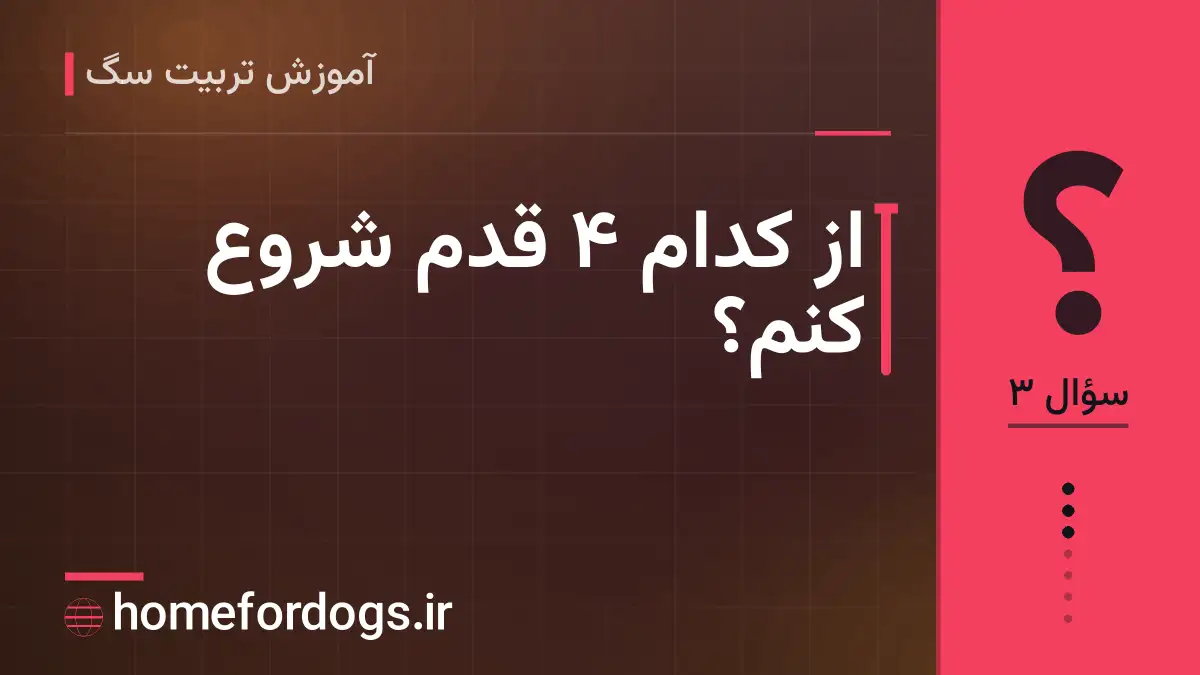 از کدام ۴ قدم شروع کنم؟