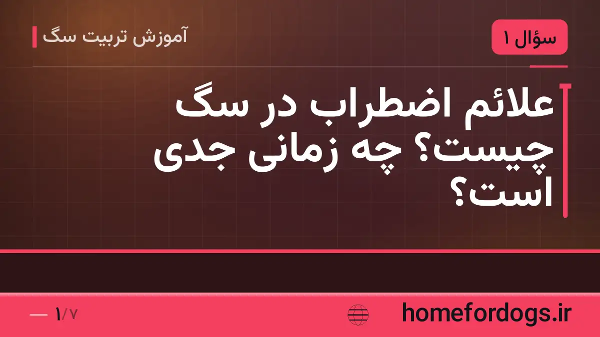 علائم اضطراب در سگ چیست؟ چه زمانی جدی است؟